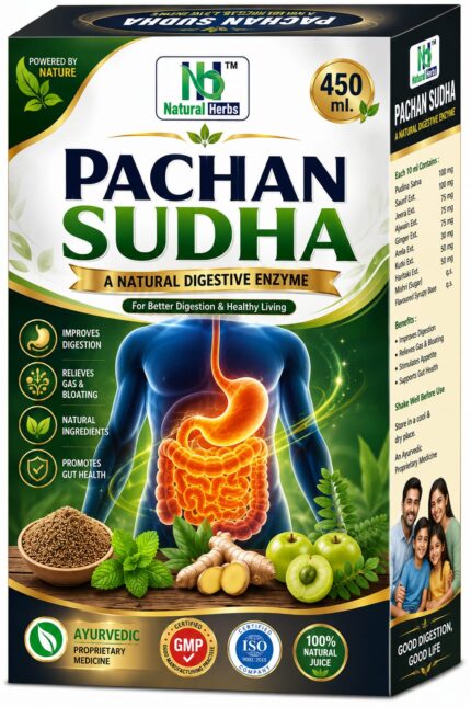 Pachan Sudha – Ayurvedic Digestive Enzyme Syrup for Gas, Acidity & Gut Health (450 ml)